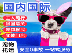 齐齐哈尔机场托运国际宠物托运 【国